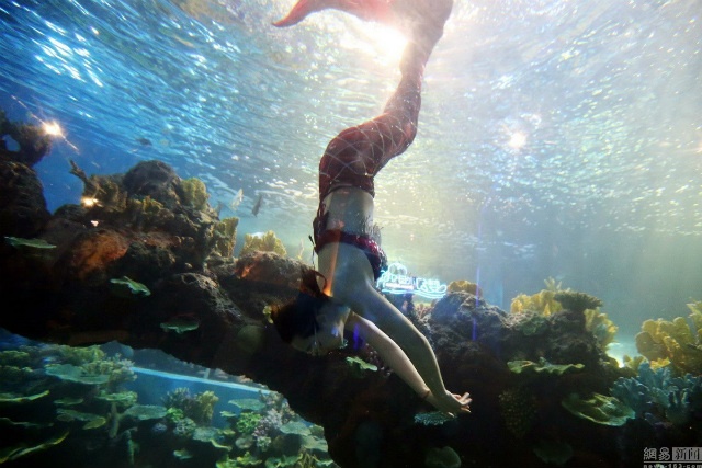 Mot ngay lam viec cua 'nang tien ca' hinh anh