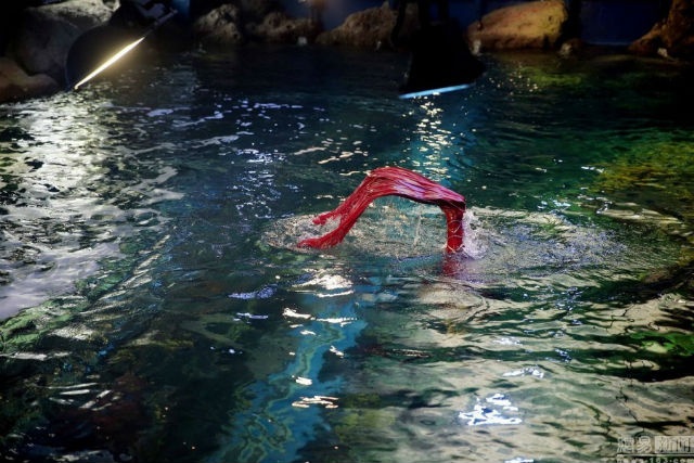 Mỗi bài biểu diễn của Lu thường gồm 6 động tác nhào lộn và diễn ra trong 5 phút. “Công việc này đòi hỏi người biểu diễn phải có thể lực cũng như tâm lý tốt”, Lu nói.