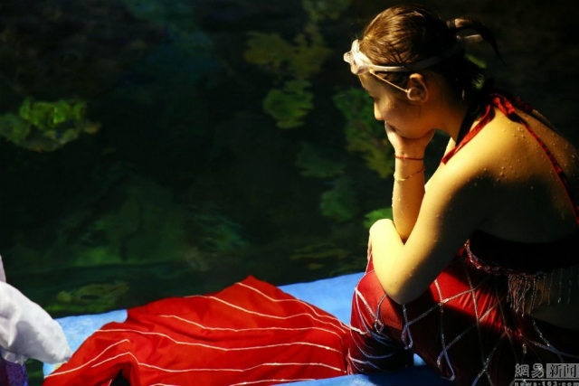 Lu nói rằng, cô không có cảm giác sợ hãi khi bơi cùng hàng trăm con cá và rùa. Thậm chí, những loài cá nhỏ còn chủ động bơi gần về phía cô ấy