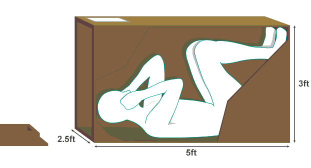 Phi vu van chuyen duong khong doc nhat vo nhi tren the gioi hinh anh