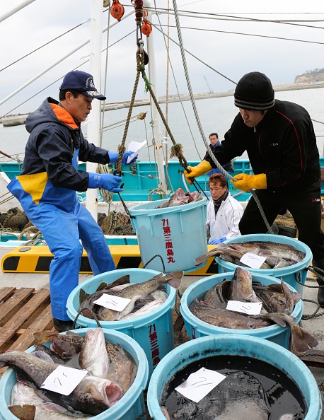 Ngư dân đánh bắt cá ở vùng biển ngoài khơi tỉnh Fukushima vào tháng 2/2015. Ảnh: AFP