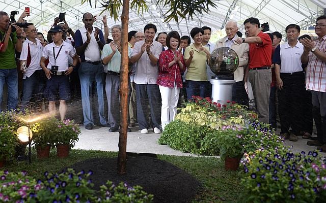 Ngày 2/11/2014, ông Lý Quang Diệu vẫn tham gia Ngày Trồng cây cùng người dân dù sức khỏe của ông đã suy yếu nhiều Ảnh: Straits Times