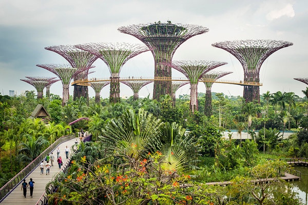 Tam nhin phu xanh Singapore cua ong Ly Quang Dieu hinh anh