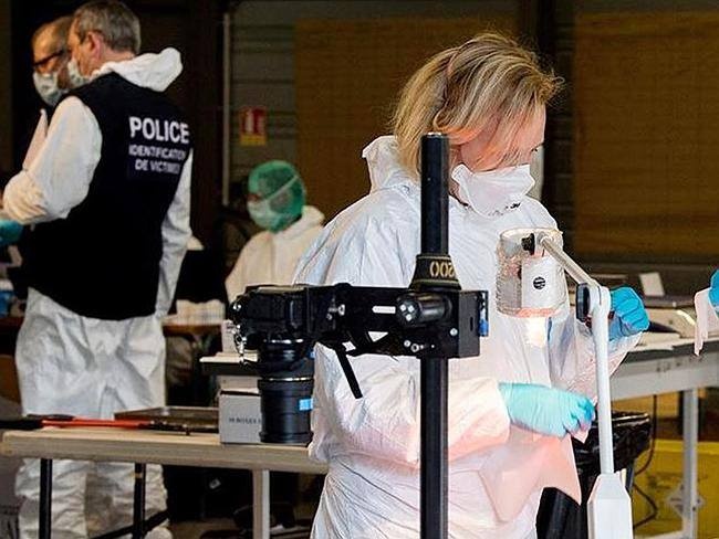 Chuyên gia pháp y tiến hành nhận dạng ADN của nạn nhân chuyến bay 4U9525 rơi tại Pháp.