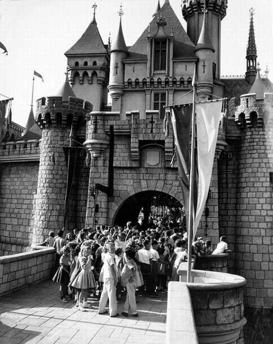 ào năm 1955, hãng Walt Disney chính thức mở cửa công viên Disneyland.