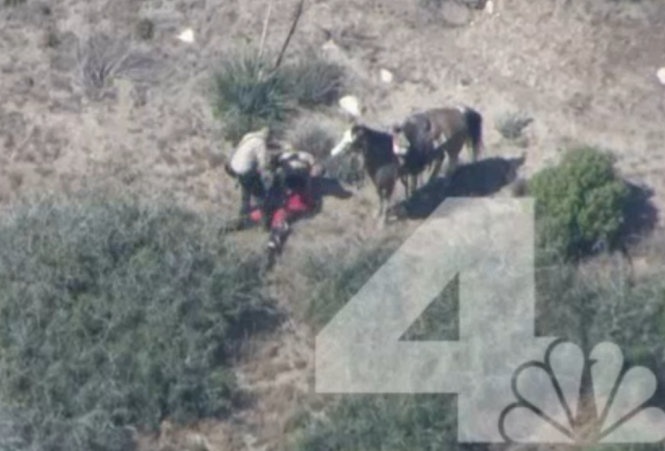 10 canh sat My bi dinh chi vi danh dap nghi can hinh anh