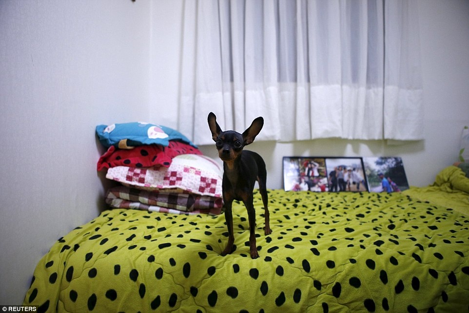 Chú chó mà nữ sinh Huh Da Yoon rất yêu quý đang ngồi trên giường của cô. Bà Park kiên quyết không vất bỏ những đồ đạc của con gái.