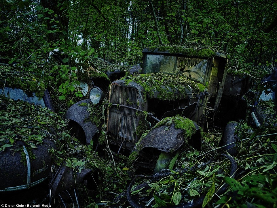 Rêu xanh và địa y trùm kín những xe bỏ hoang trong một khu rừng ở Đức, tạo nên không khí u ám như một nghĩa trang thực sự.