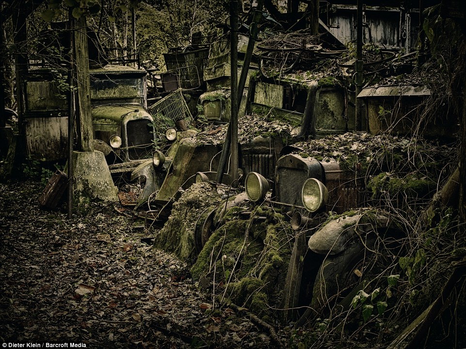 Một nghĩa trang ôtô ở nước Pháp. Nhiếp ảnh gia Dieter rất tò mò hiện tượng thực vật có thể mọc kín trên những cỗ máy do con người chế tạo.