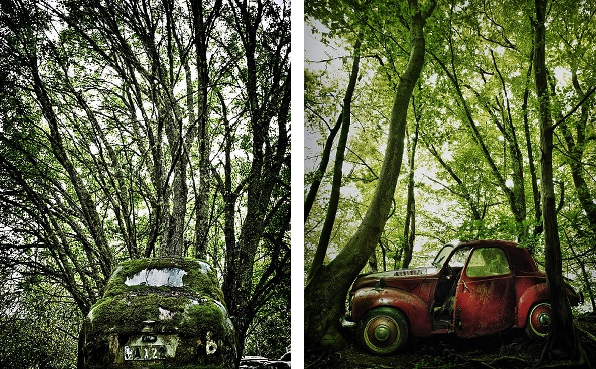 Nghĩa địa xe nằm sâu trong một cánh rừng ở Đức.