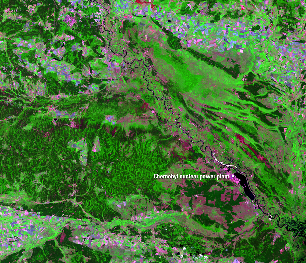 Tham hoa hat nhan Chernobyl anh 4