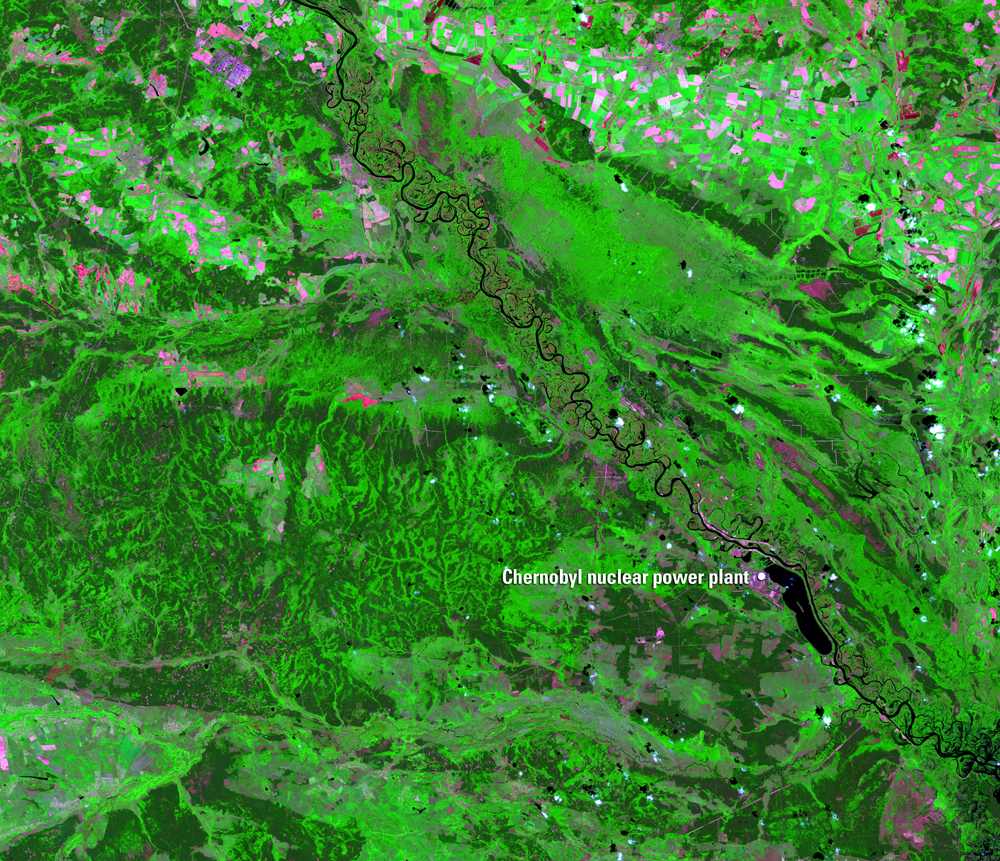 Tham hoa hat nhan Chernobyl anh 6
