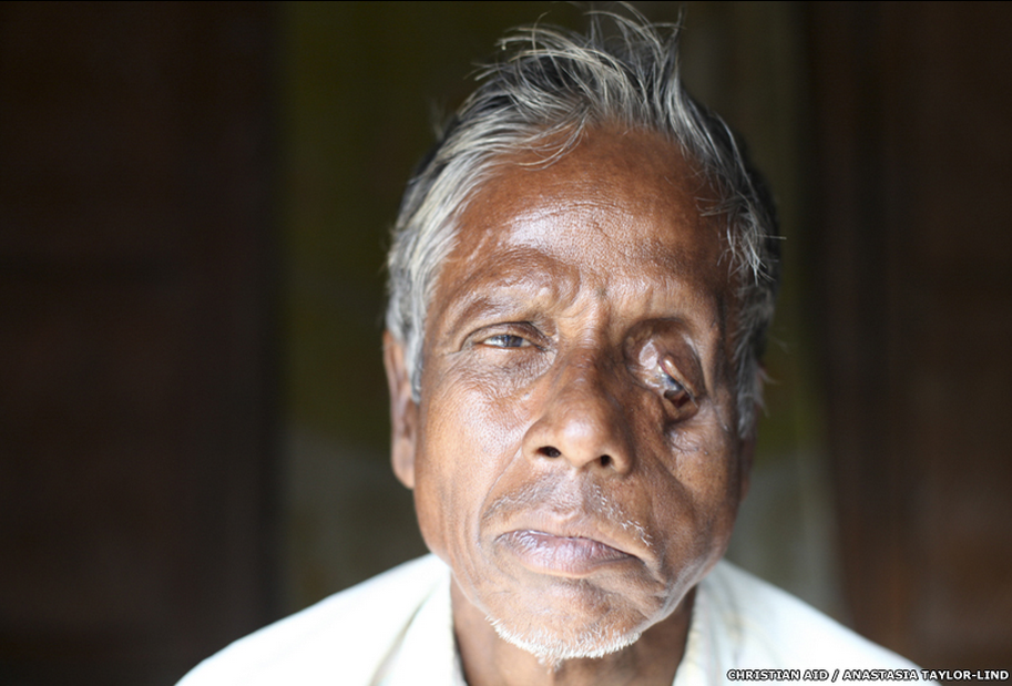 Nhung vu ho vo o rung ngap man lon nhat the gioi hinh anh