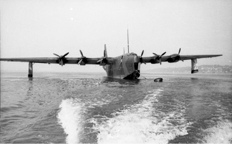Blohm and Voss BV 238 của Đức là máy bay quân sự nặng nhất từng bay vào năm 1944, đồng thời là phi cơ lớn nhất do một quốc gia thuộc phe Trục sản xuất trong Thế chiến II. 3 chiếc BV 238 ra đời trong giai đoạn này. Với khối lượng gần 60 tấn, sải cảnh dài hơn 60 m, nó được trang bị 22 súng máy và súng nhẹ cùng đội bay gồm 12 người. BV 238 có thể chở 20 quả bom hoặc 4 tên lửa dẫn đường chống hạm.