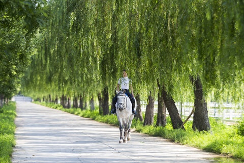 Yu (Vivi) Tian, 19 tuổi, cưỡi ngựa bên ngoài câu lạc bộ P.Y. Equestria tại Bắc Kinh.