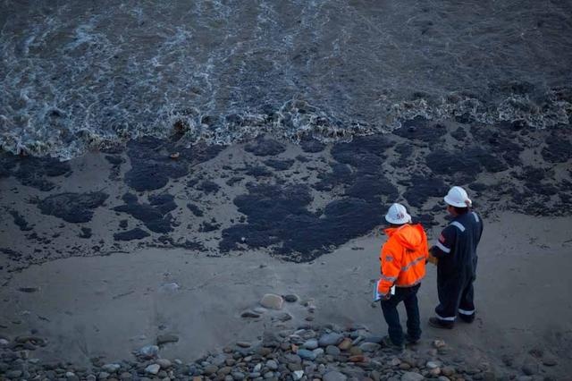  Richard Abrams, quan chức thuộc Cơ quan Khẩn cấp của thành phố Santa Barbara, cho biết, giới chức chưa nhận báo cáo về tác động của sự cố tràn dầu tới đời sống hoang dã, nhưng khẳng định lượng lớn dầu tràn đang ảnh hưởng tới môi trường. 