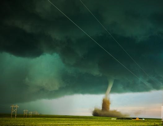 Canh tuong ngoan muc cua voi rong tren bau troi My hinh anh