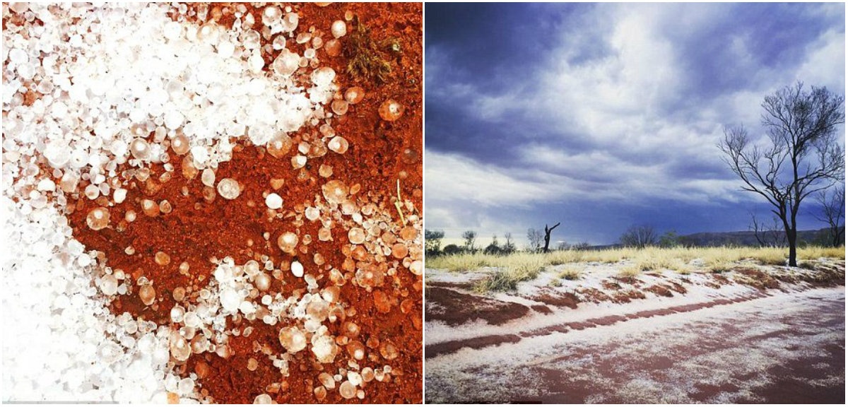 Canh tuong ngoan muc khi mua da roi xuong sa mac hinh anh