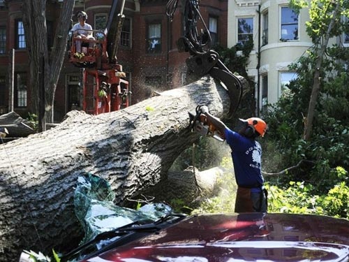Một trận giông bão với tốc độ gió khoảng 130 km/h bất ngờ ập xuống một số bang bờ đông nước Mỹ tối 29/6/2012, giết chết ít nhất 13 người, quật đổ hàng ngàn cây cối, nhà cửa và khiến 4 triệu người chịu cảnh mất điện kéo dài. 3 bang Virginia, West Virginia và Ohio bị ảnh hưởng nặng nề nhất. Hệ thống đèn giao thông, mạng lưới điện thoại di động cũng gián đoạn tại nhiều nơi. Ảnh: Reuters
