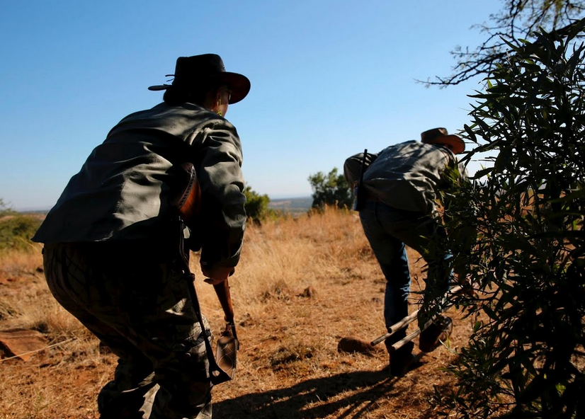 Hai thợ săn phát hiện ra con mồi lớn.