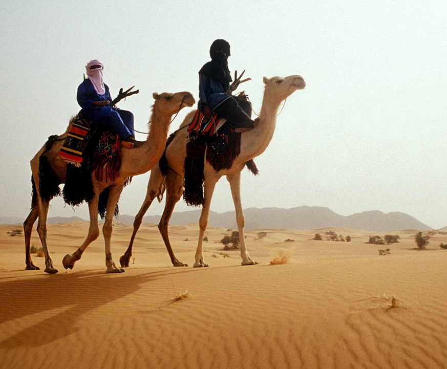 Hàng thế kỷ qua, bộ lạc du mục Tuareg ở châu Phi di chuyển qua sa mạc Sahara dưới sự dẫn đường bởi những người mù. Họ dùng khứu giác và vị giác để phát hiện ra những con đường cát. Nhiếp ảnh gia Henrietta Butler ấn tượng trước những quy tắc và cuộc sống của cư dân bộ lạc Tuareg sau khi tới sa mạc Sahara vào năm 2001. 