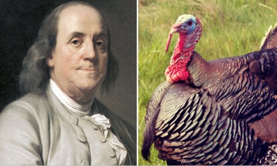 Trong bức thư gửi con gái Sarah Bache năm 1784, Tổng thống Mỹ Bejamin Franklin viết rằng ông không hài lòng khi đại bàng trọc được chọn là biểu tượng của đất nước. 