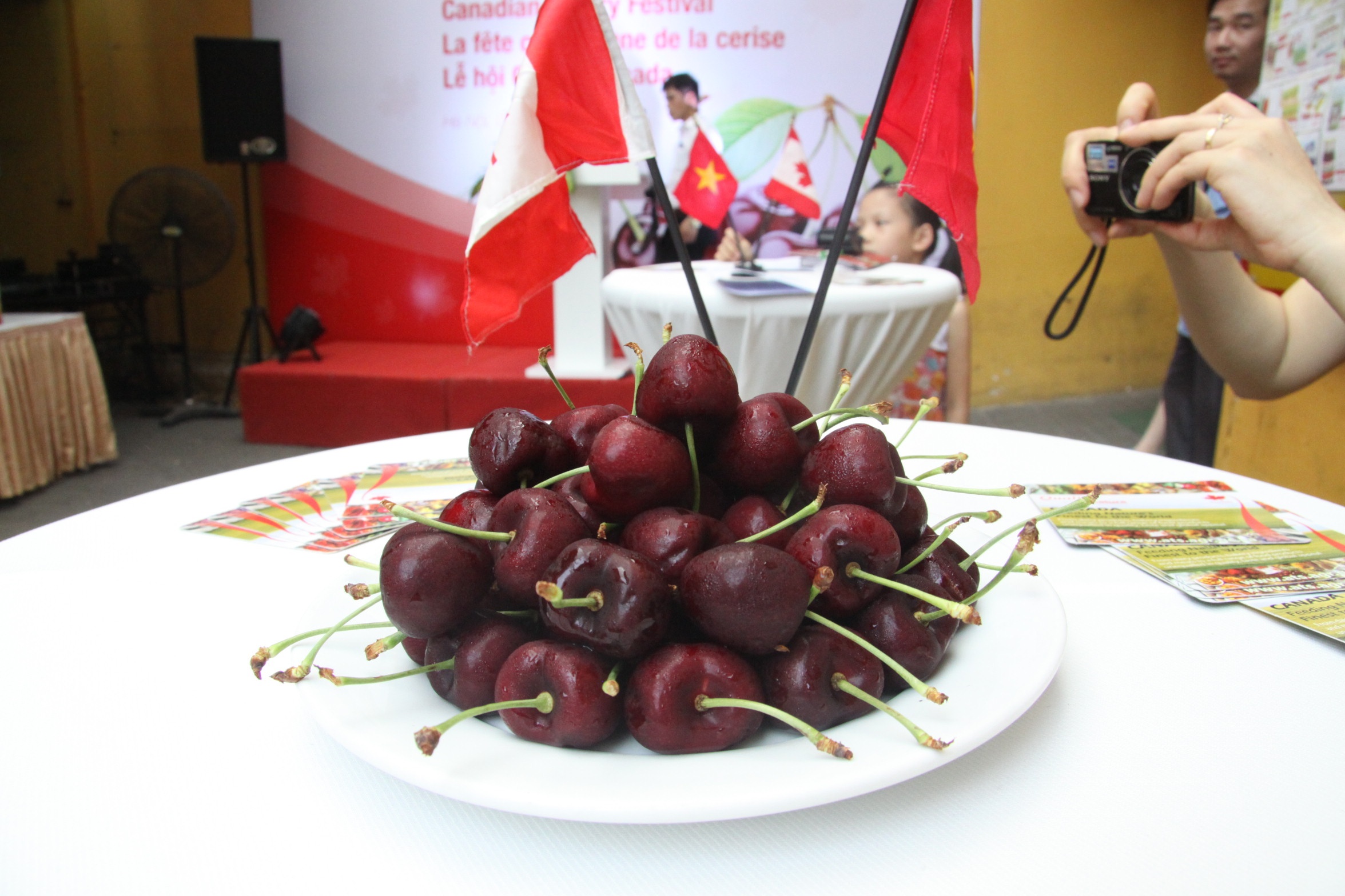 Canada lan dau tien gioi thieu trai anh dao tai Viet Nam hinh anh