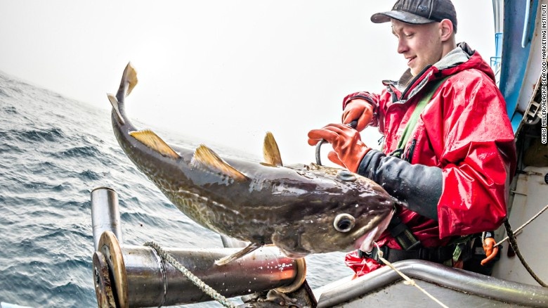 Một công nhân đánh bắt cá tuyết trên vùng biển Bering.