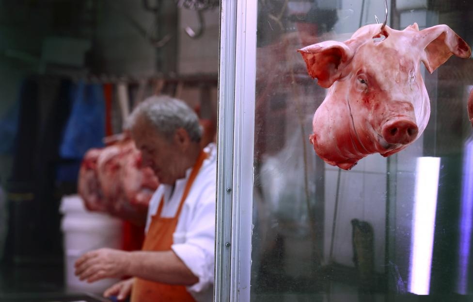 Nhung hinh anh an tuong nhat tuan qua (6 - 12/7) hinh anh