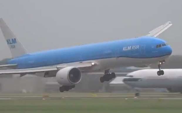 Phi co chao dao khi ha canh ngoan muc trong bao lon hinh anh