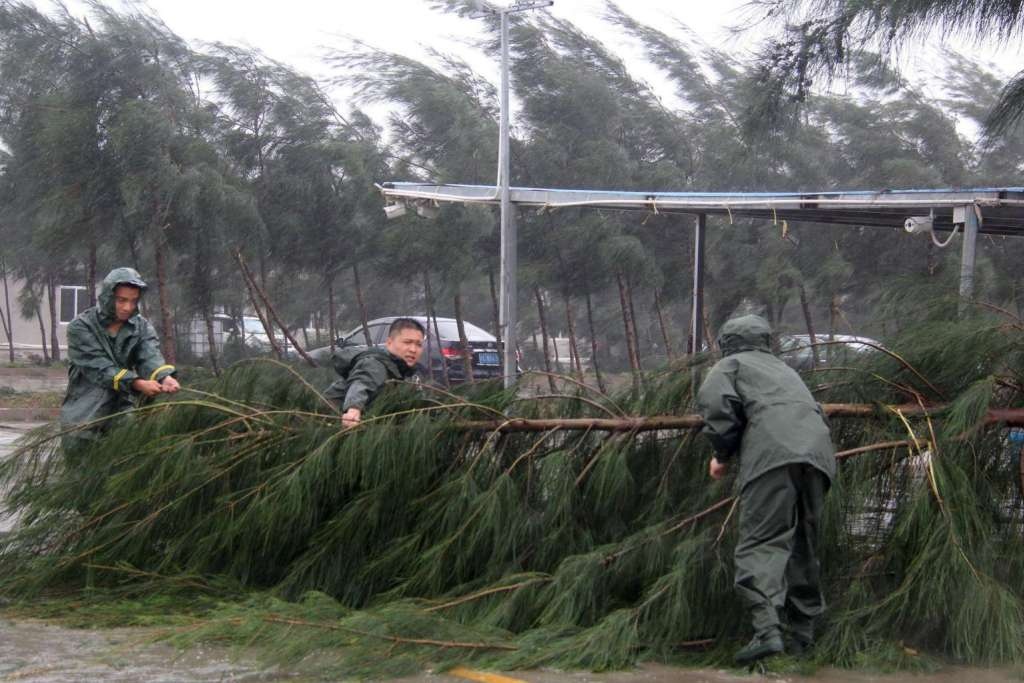 Người dân di dời các cành cây gãy giữa đường khi cơn bão