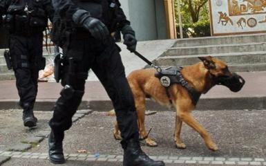 Canh sat ca ngoi chu cho truy bat nghi pham khung bo Paris hinh anh