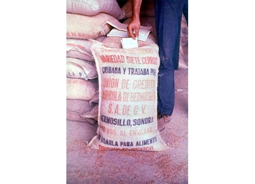 Ảnh: Besthealthsciencedegree