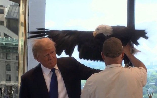 Ty phu Trump bi dai bang tan cong khi chup anh hinh anh