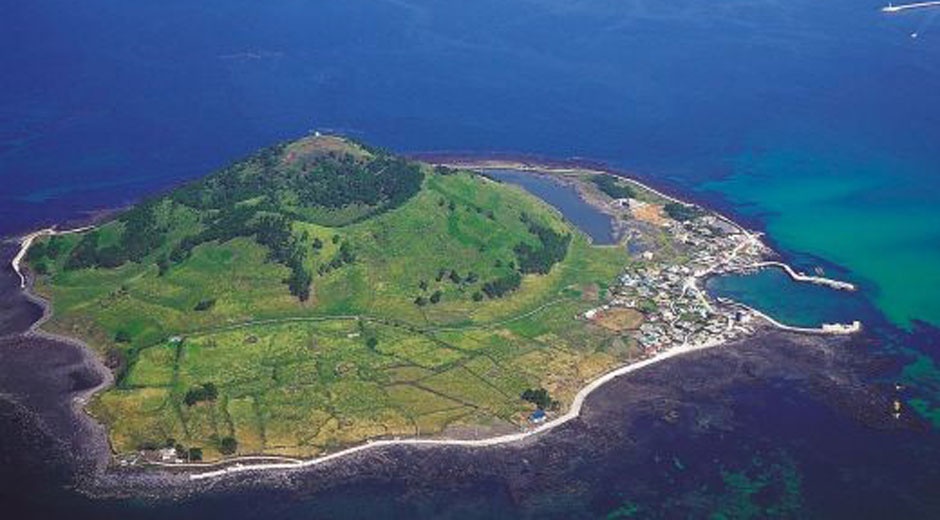 Canh sat Han Quoc: '32 nguoi Viet van bien mat o dao Jeju' hinh anh