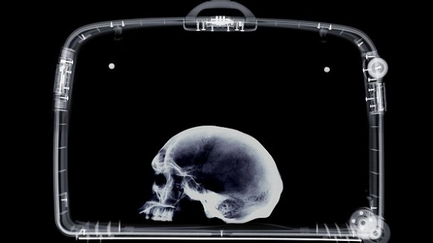 giáo sư mang sọ người trong hành lý ảnh 1 giao su mang so nguoi trong hanh ly anh 1