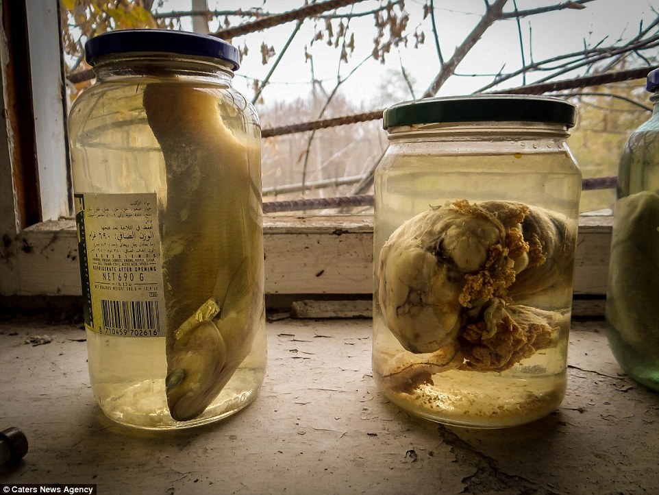 thảm họa hạt nhân Chernobyl ảnh 12 tham hoa hat nhan Chernobyl anh 12