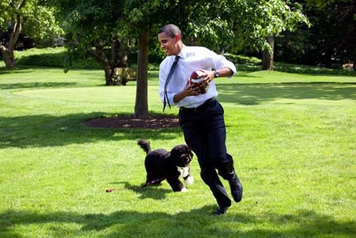 khoảnh khắc đời thường của obama ảnh 1 khoanh khac doi thuong cua obama anh 1