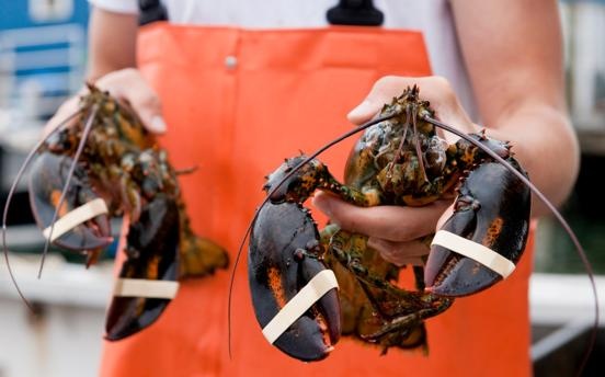 cong nghiep tom hum My anh 1