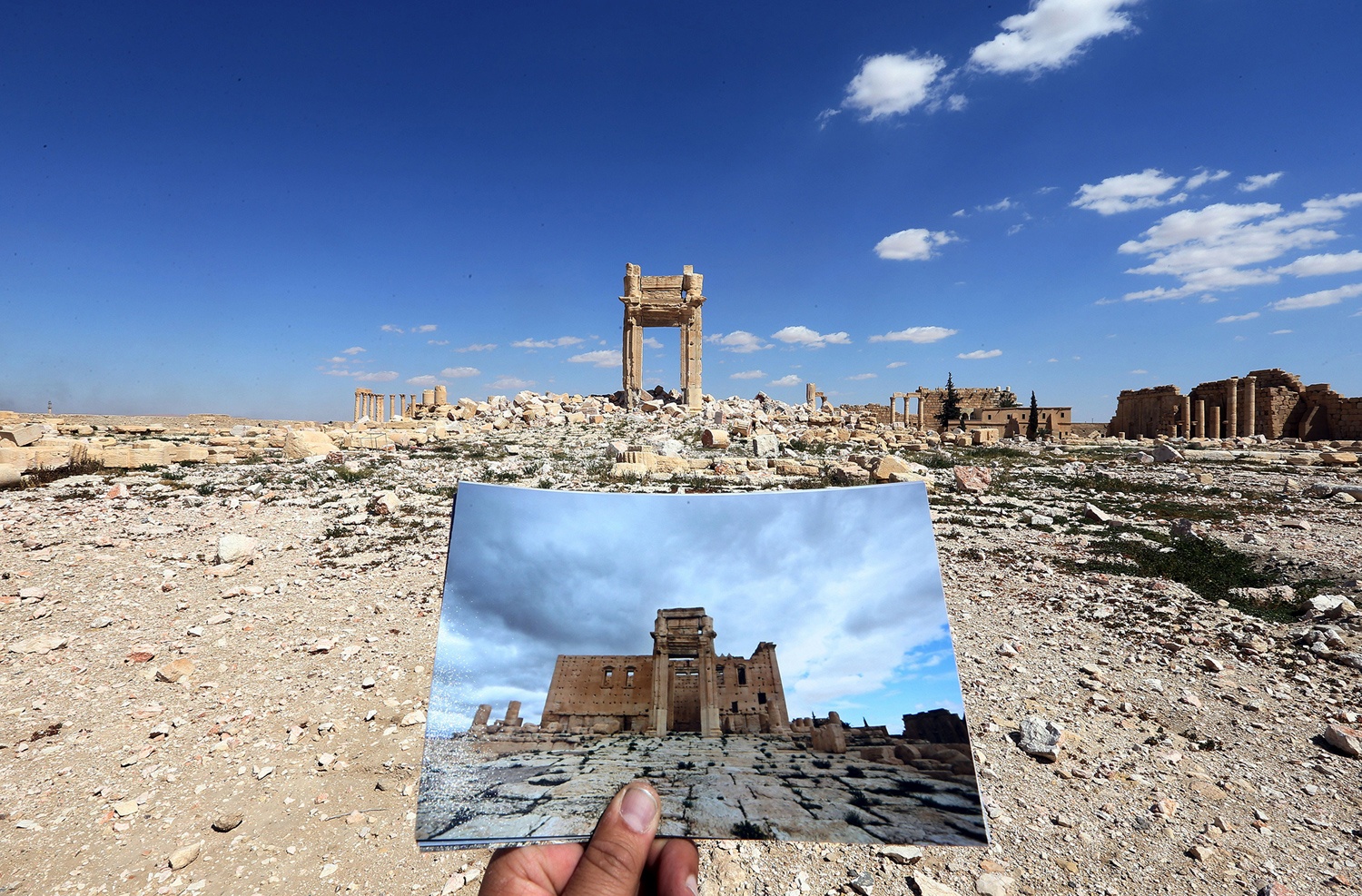 nội chiến Syria bất ổn và dai dẳng ảnh 17 noi chien Syria bat on va dai dang anh 17