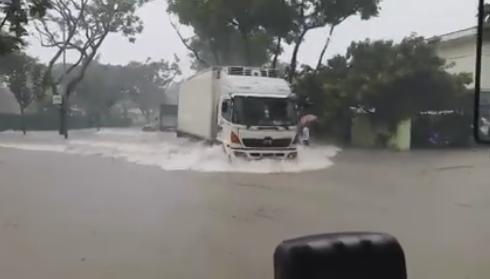 mua lon khien cay do o Singapore anh 1