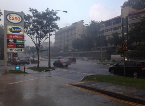 mua lon khien cay do o Singapore anh 3