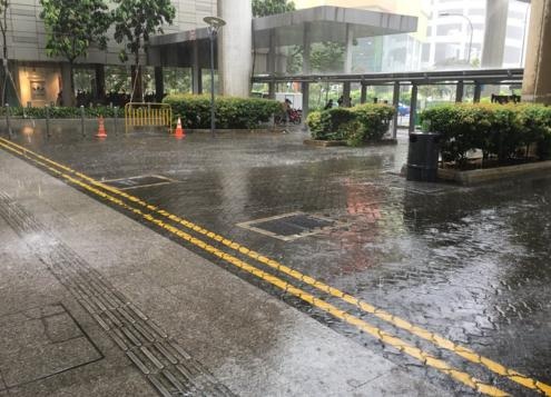 mua lon khien cay do o Singapore anh 4