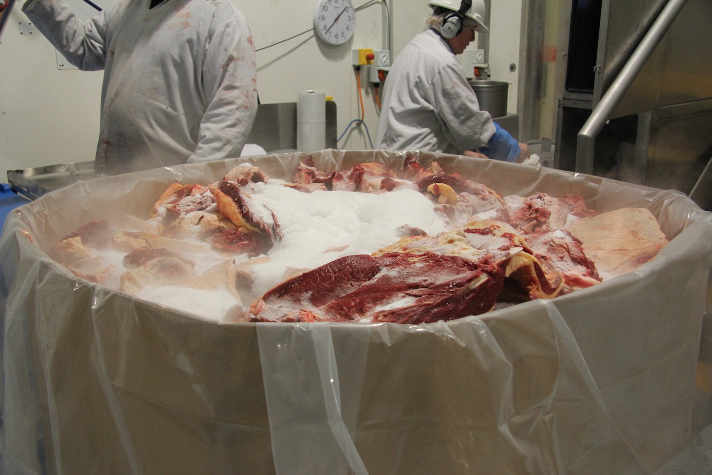 quy trinh giet mo gia suc anh 7