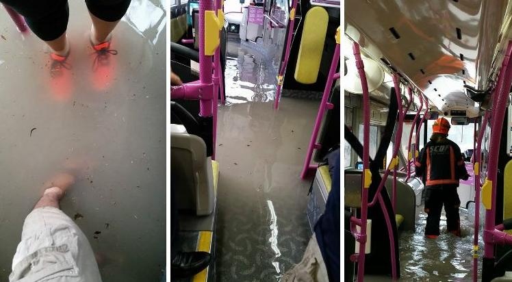 mua lon khien cay do o Singapore anh 2