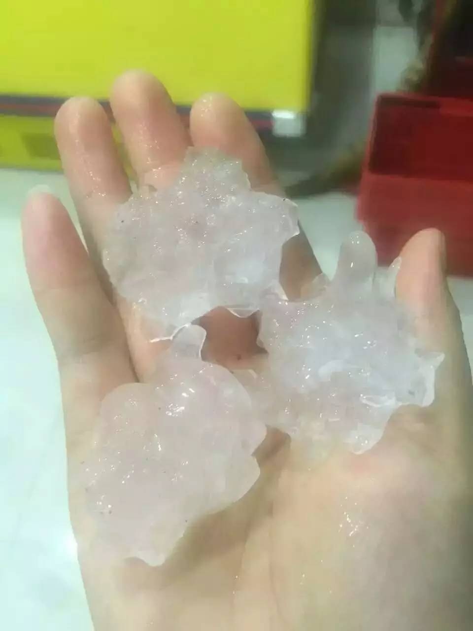 voi rong quet qua thanh pho Trung Quoc anh 6