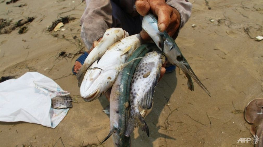 bai hoc dat gia cua Formosa anh 1