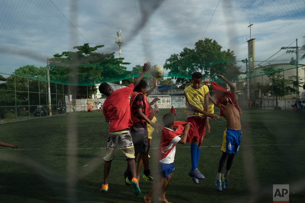 khu o chuot Brazil anh 11