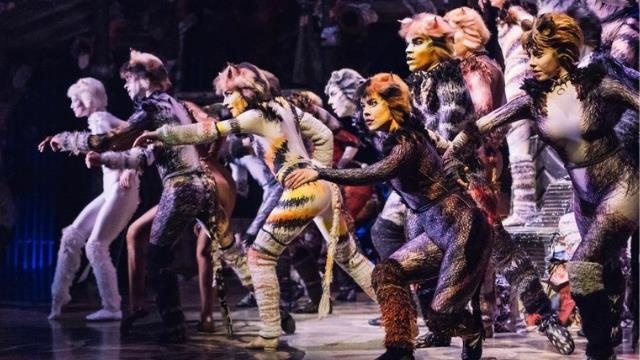 Musical Taylor Swift Cats Universal Studios  ảnh 3 Musical Taylor Swift Cats Universal Studios anh 3