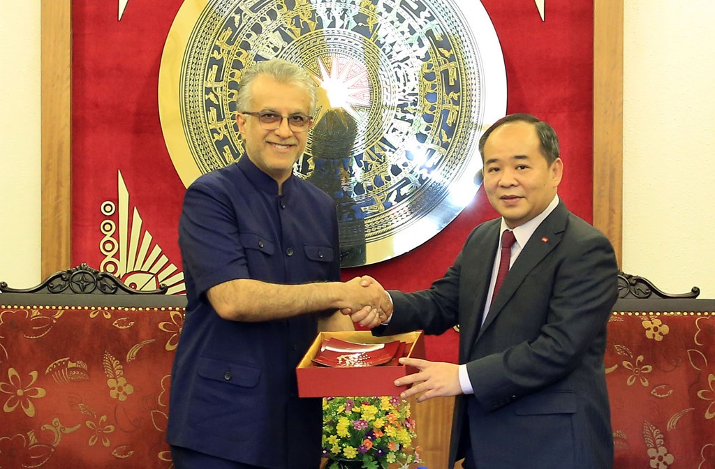 Thu truong Le Khanh Hai ung cu Chu tich VFF anh 1